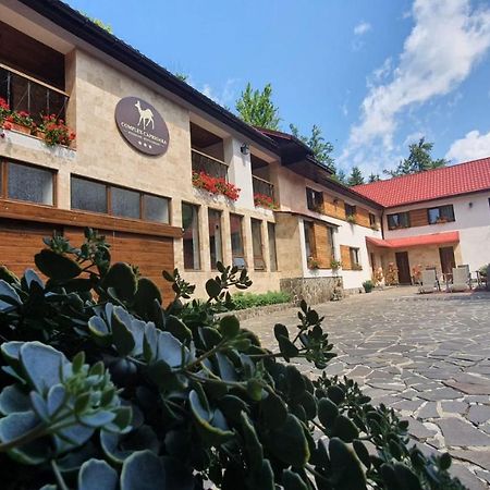 Complex Turistic Caprioara Hotell Baia Mare Exteriör bild
